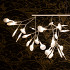 Hanglamp Heracleum 